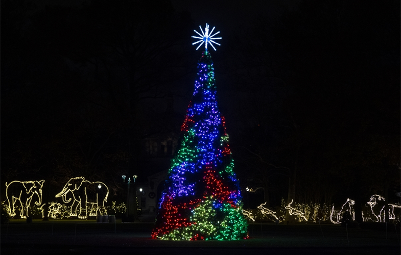 Julie Larsen Maher_9484_Holiday Lights Lanterns and Tree_BZ_11 19 19.JPG